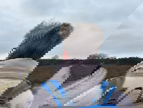 Keuzestress in je carrière: "soms komt de natuur met antwoorden"