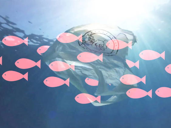 Nieuw Nederlands onderzoek naar nanoplastics in de oceanen