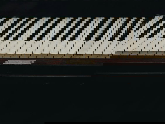 Terug naar Toen: Andreas Grassl De Pianoman