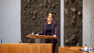 Lisa Westerveld (Progressief Nederland) over problemen in de jeugdzorg