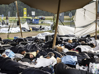 Hoe lossen we de asielcrisis op? 'Door te focussen op 2050!'