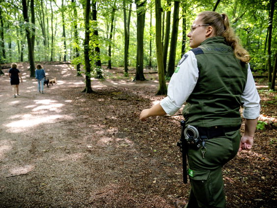 Moeten boa's in het bos een wapen dragen?