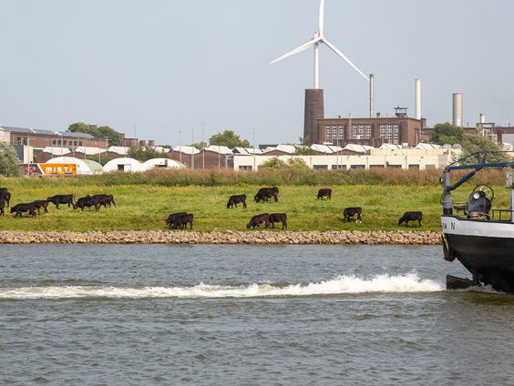 Waterbedrijven willen dat Duitsland stopt met vele PFAS-lozingen in de Rijn