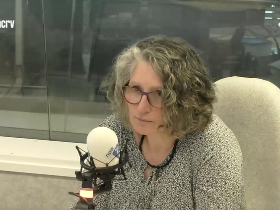 Het Taalloket: Roos de Bruyn over doortastend