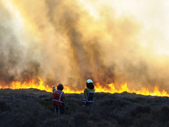Terug naar Toen: Grote duinbranden in Bergen aan Zee