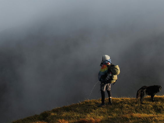 Tijdens de kerstwandeling even een plasje in de bossen: wat merkt de natuur daarvan?