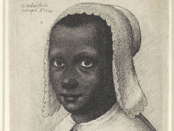 De Seraphina van Braziliëbrug