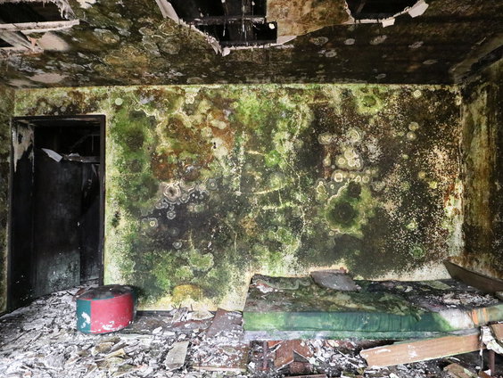 Inkijkje in verschillende verlaten gebouwen