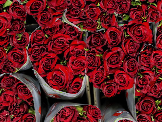 Hoe kom je nog aan niet bespoten bloemen?