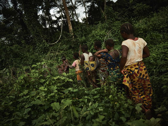 Hoe het Congolese regenwoud de wereld kan redden