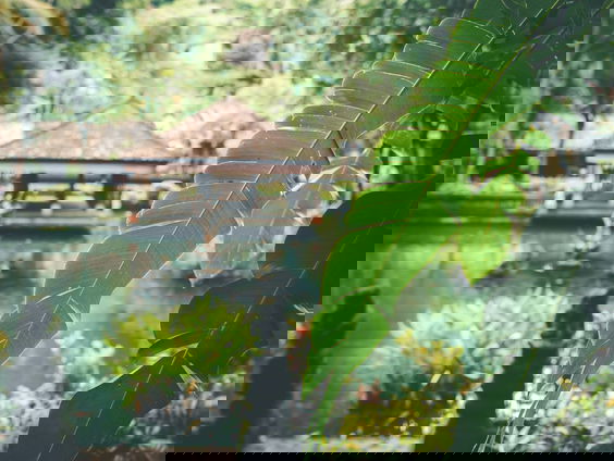 Het juk van massatoerisme: Hoe is dit te beheersen?