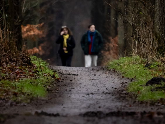 Liesbeth is wandelcoach en helpt mensen met hun mentale gezondheid: zo gaat dat in z'n werk