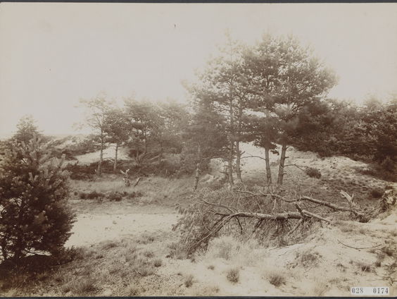 Gevecht tegen het zand
