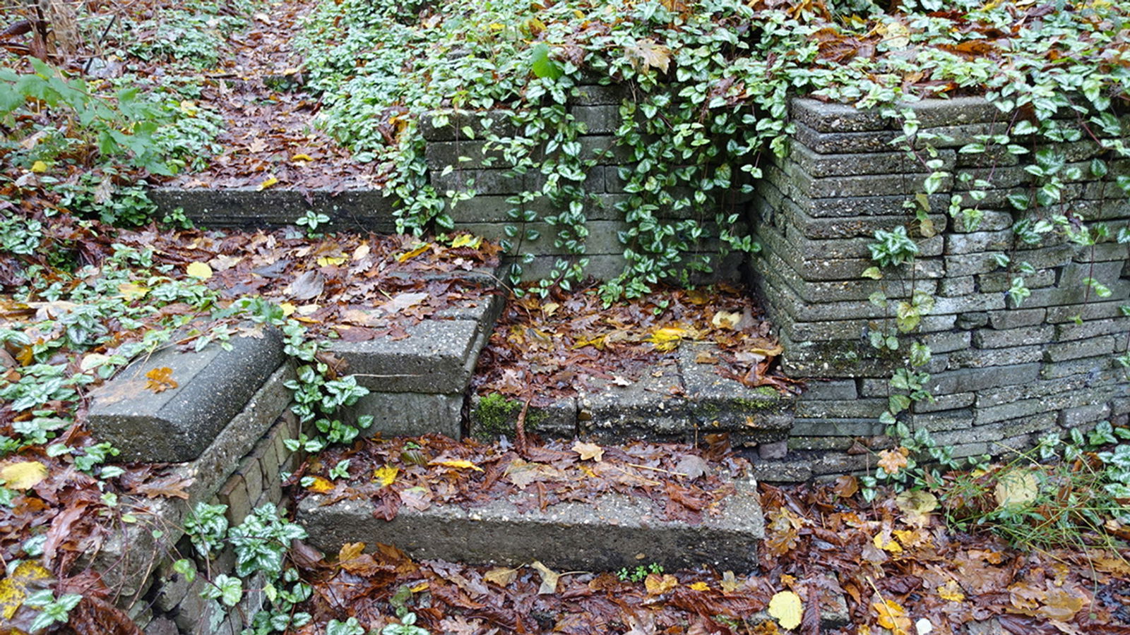 Ecokathedraal in Mildam krijgt erkenning als rijksmonument
