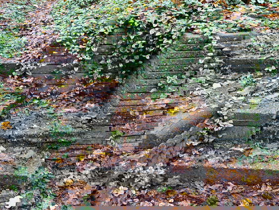 Ecokathedraal in Mildam krijgt erkenning als rijksmonument