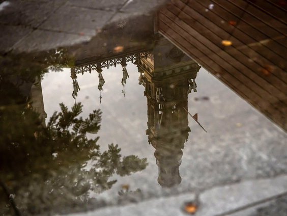 Petrichor: de verklaring van het rare geurtje na regen in droge periodes