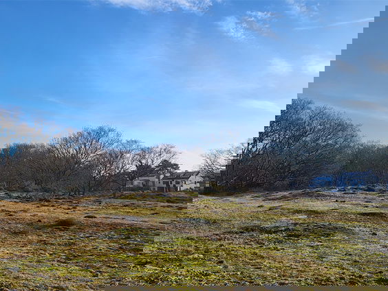 Natuurgebied Wapendal in Den Haag staat onder druk