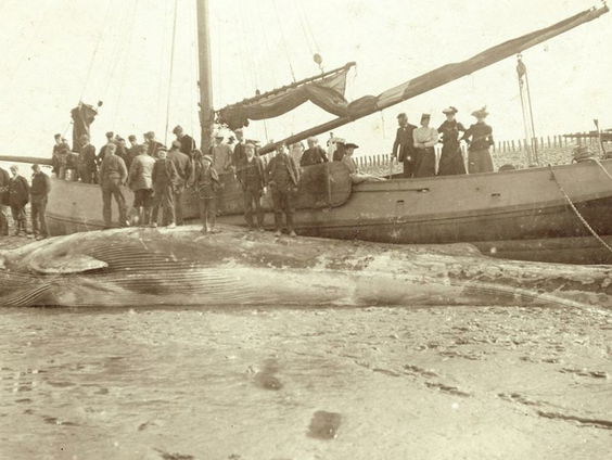 Steffen Birkhaus over Helden van Burghsluis