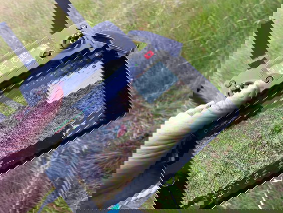 Opening maaiseizoen is slecht nieuws voor de weidevogels en reeën