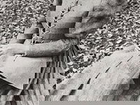 Herculine Barbin; 19e eeuwse intersekse persoon komt tot leven