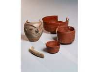 In Gelderland pakken ze 60.000 dozen met historische vondsten uit