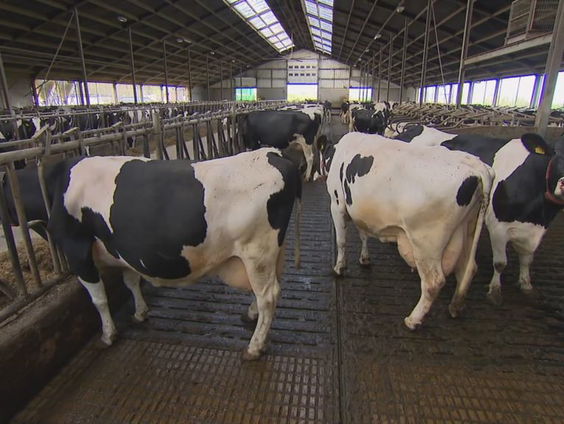 Elke week nieuwe stikstofprocedures: helpt dat of polariseert het alleen maar?