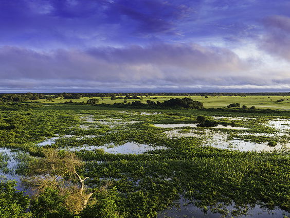 Branden in wetland Pantanal zijn niet onder controle te krijgen
