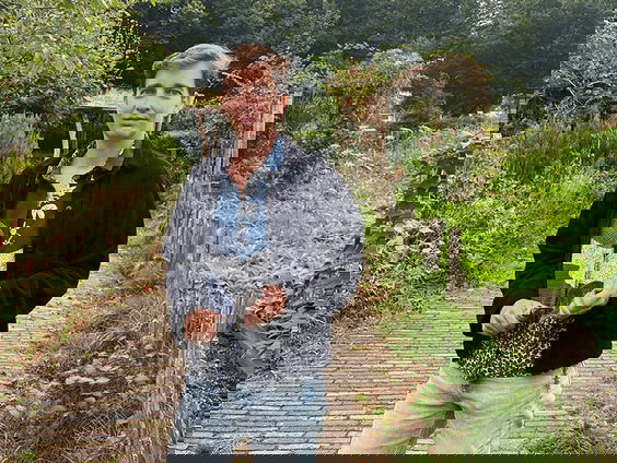 De mierenkaravaan van Mariken Heitman