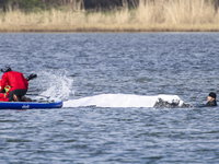 Stand.nl: 'Wilde dieren zoals Timmy moeten we met rust laten'