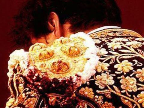 De geschiedenis van stierenvechten