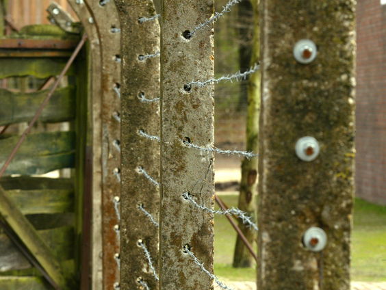 Meer mensen in Kamp Vught gefusilleerd dan werd aangenomen