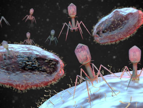 UMC Utrecht behandelt eerste patiënt met experimentele faagtherapie