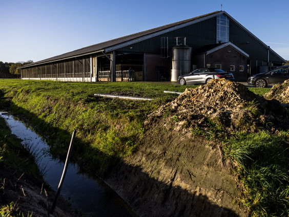 Boeren die zich laten uitkopen alsnog in de knel door onduidelijk overheidsbeleid