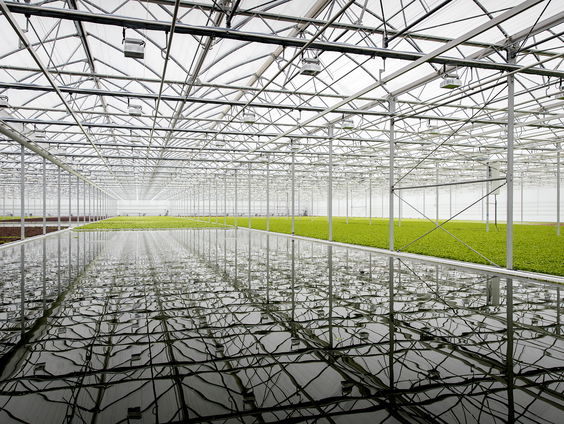 Herbeoordeling bestrijdingsmiddelen nodig wegens risico op kanker, stelt hoogleraar