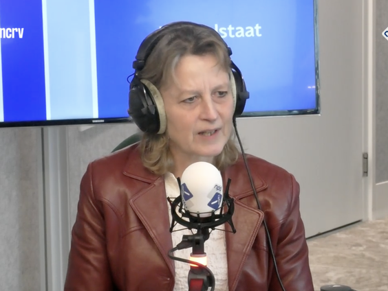 De kussentjes van 2026: Iris Pronk over Renate Dorrestein