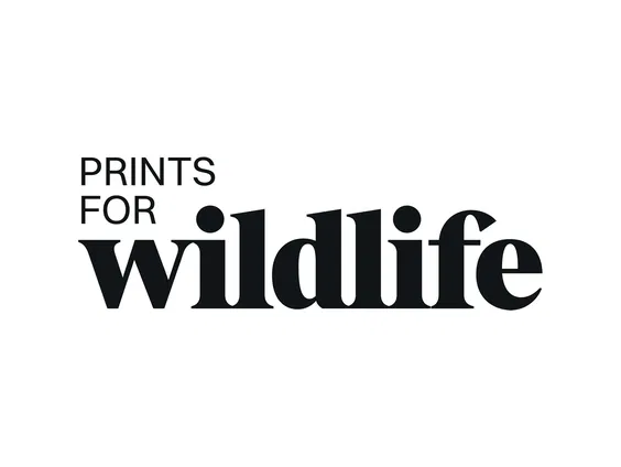 Natuurfotograaf Pie Aerts haalt met Prints for Wildlife 2,5 miljoen dollar op voor natuurbehoud