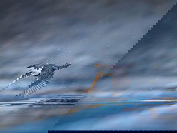 Spiritualiteit, Natuur en Bezinning tijdens Ramadan