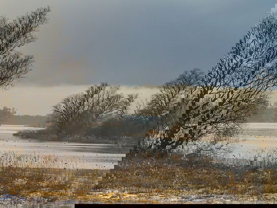 Miljoenenbezuiniging op de Nationale Parken