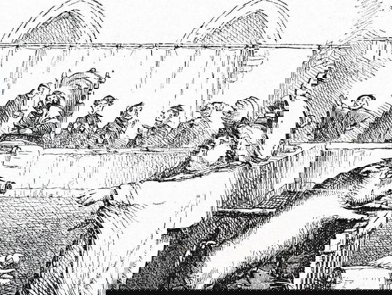 In Middeleeuwen kon je als varken of bijenvolk de doodstraf krijgen