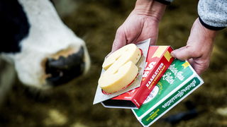 Sinds wanneer bestaat de chocoladeletter?