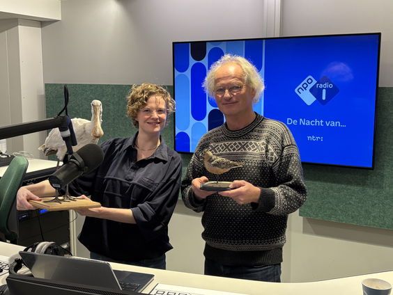 Hoe weten trekvogels waar ze heen moeten vliegen?