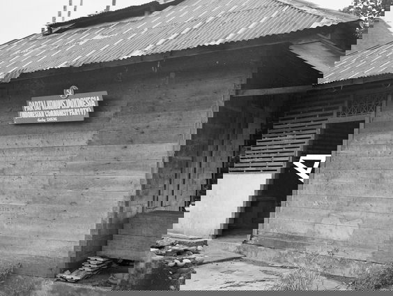 De Binnenlandse Veiligheidsdienst en de genocide in Indonesië