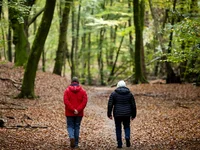 Aanleg nieuwe bossen blijft ver achter bij doelstellingen