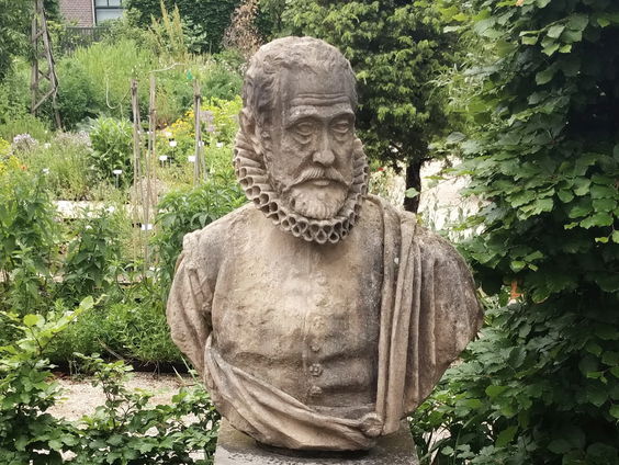 Clusius-tuin in de Hortus
