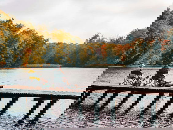 Mag er vis-les worden gegeven op scholen?