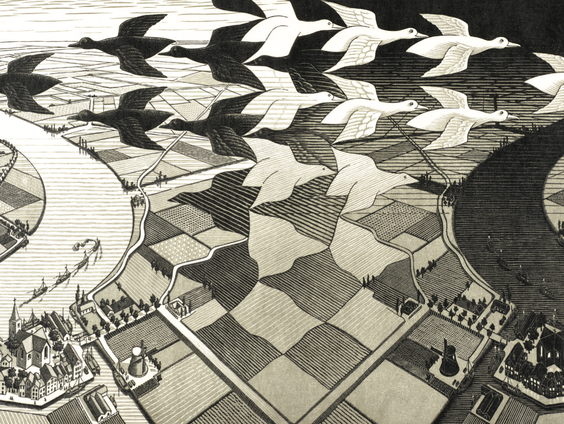 Gezichtsbedrog-kunstenaar M.C. Escher