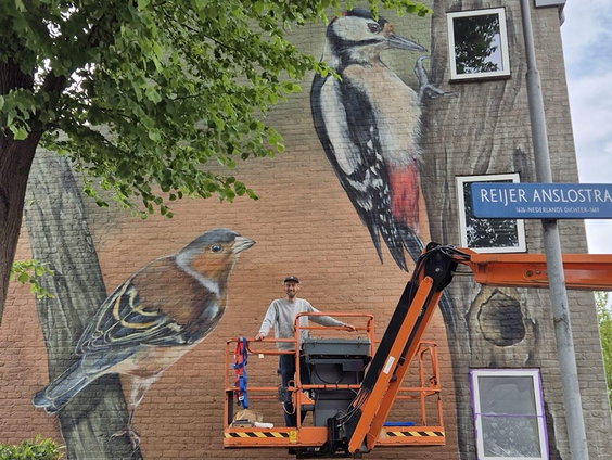 Metershoge vogelmuurschilderingen sieren Haarlem