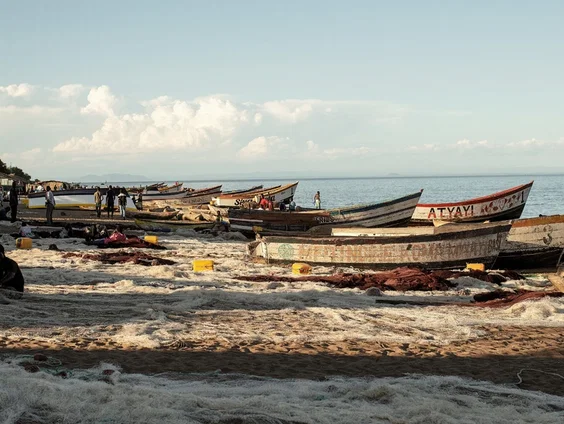 Vier vermiste Nederlanders op Malawimeer levend gevonden: 'Ze hebben geluk gehad'