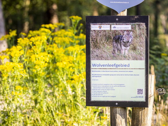 Wolven verdwijnen spoorloos, maar waarom?