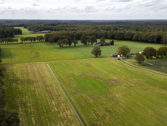 Live Explainer: Welk geluid, geur of smaak vind jij typisch Nederlands?